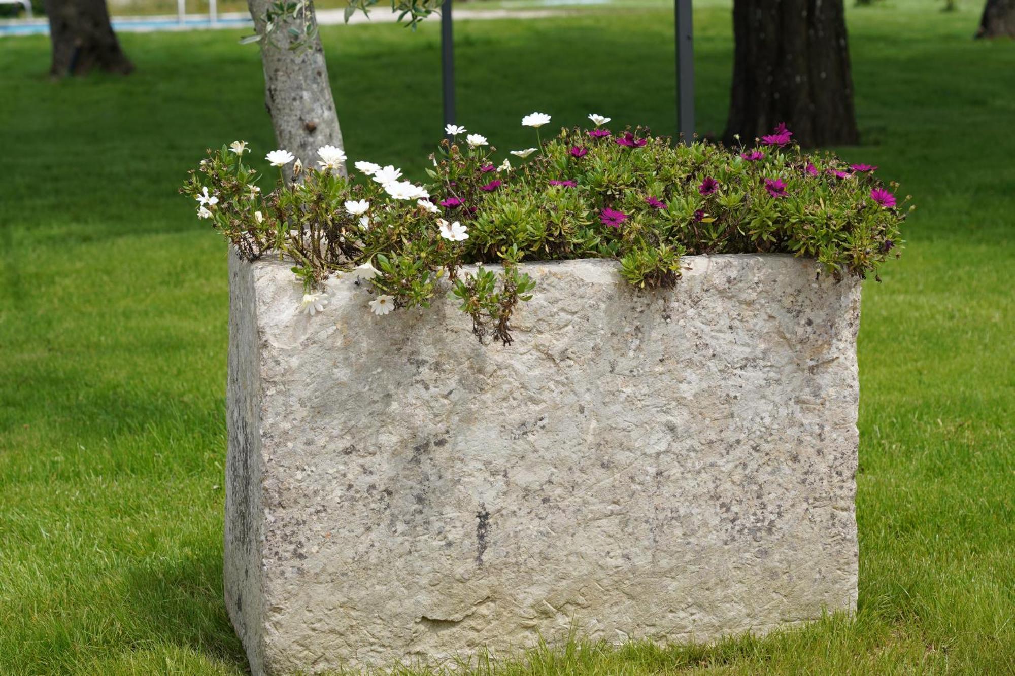 Bed and Breakfast Gli Ulivi Di Gino Sanarica Экстерьер фото
