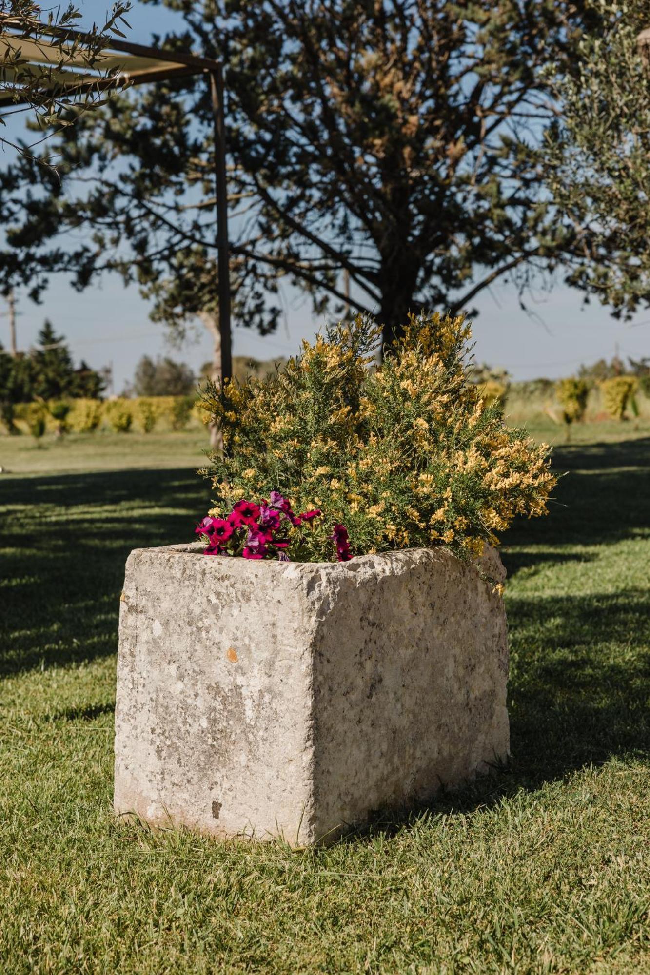 Bed and Breakfast Gli Ulivi Di Gino Sanarica Экстерьер фото